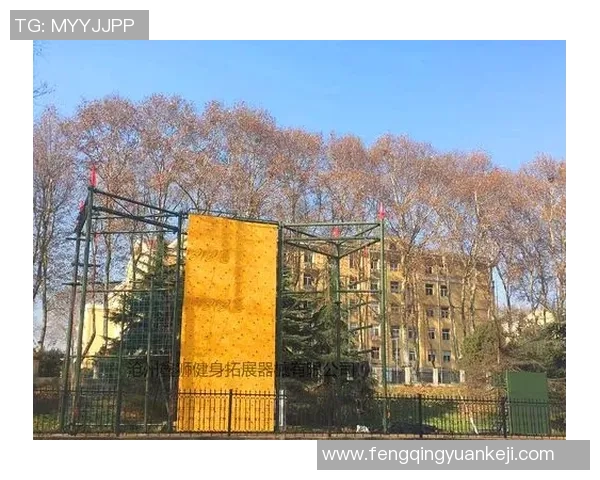 南京羽毛球队心理素质排名第六解析其背后的训练与心理调适策略 南京羽毛球队心理素质排名第六解析其背后的训练与心理调适策略