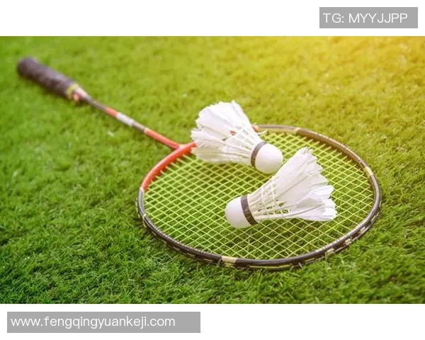 重庆羽毛球队近期状态深度对比分析及未来发展趋势探讨 重庆羽毛球队近期状态深度对比分析及未来发展趋势探讨