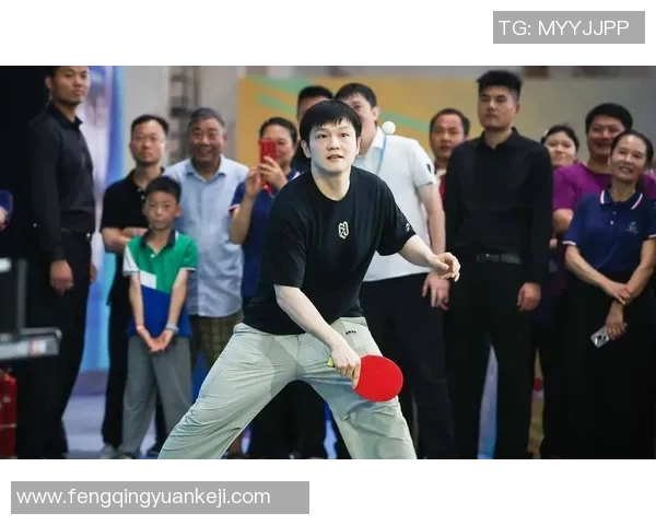 乒乓球节奏排行榜揭晓杭州乒乓球队荣获第二名成就辉煌 乒乓球节奏排行榜揭晓杭州乒乓球队荣获第二名成就辉煌