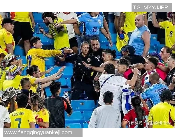 足球明星为保护家人勇敢出手引发争议打斗事件曝光 足球明星为保护家人勇敢出手引发争议打斗事件曝光