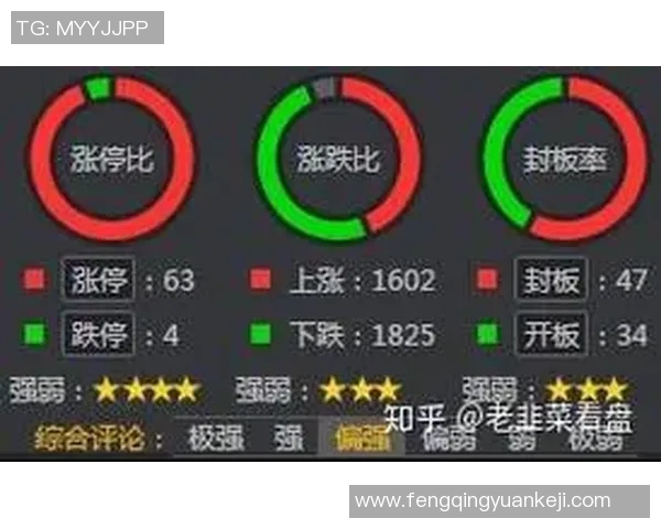 重庆篮球队与上海篮球队赛后技术分析与战术复盘