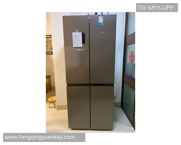 乒乓球装备选购指南：护腕推荐与使用技巧分享