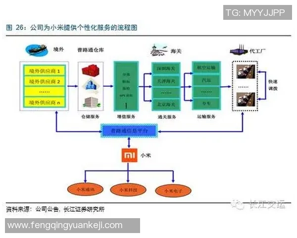成都排球队团队协作的独特优势与其他球队的深度比较分析