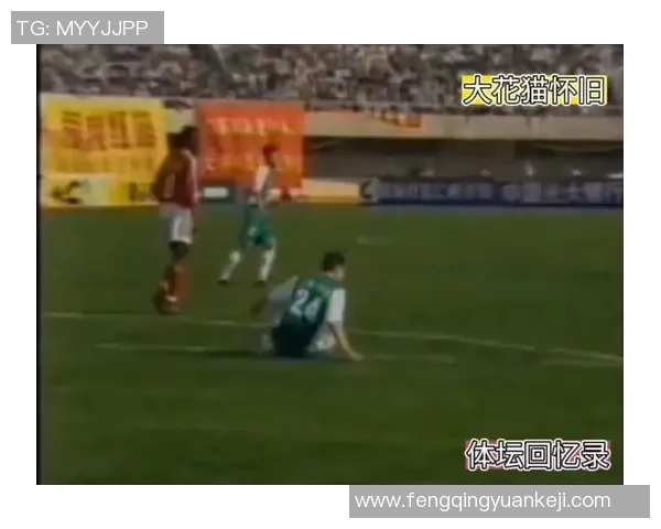 深圳羽毛球队逆袭之旅揭秘：从默默无闻到杯赛冠军的辉煌历程