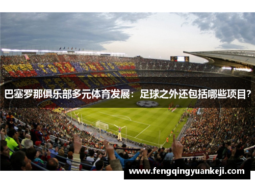 巴塞罗那俱乐部多元体育发展：足球之外还包括哪些项目？