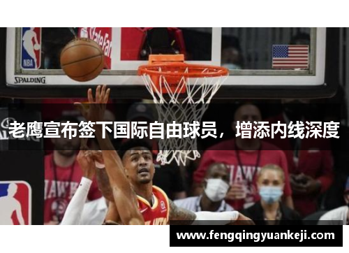 老鹰宣布签下国际自由球员，增添内线深度