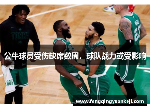 公牛球员受伤缺席数周，球队战力或受影响