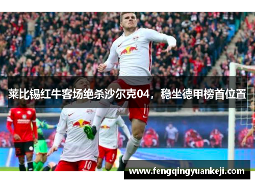 莱比锡红牛客场绝杀沙尔克04，稳坐德甲榜首位置