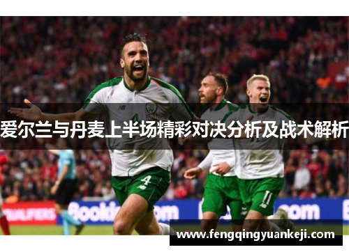 爱尔兰与丹麦上半场精彩对决分析及战术解析