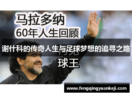 谢什科的传奇人生与足球梦想的追寻之路